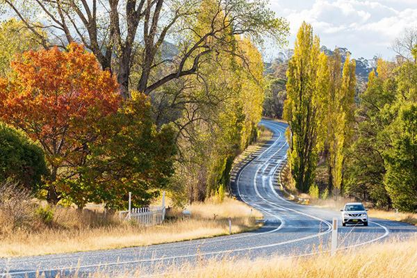 NSW COVID-19 update: NSW embraces 1 November roadmap target