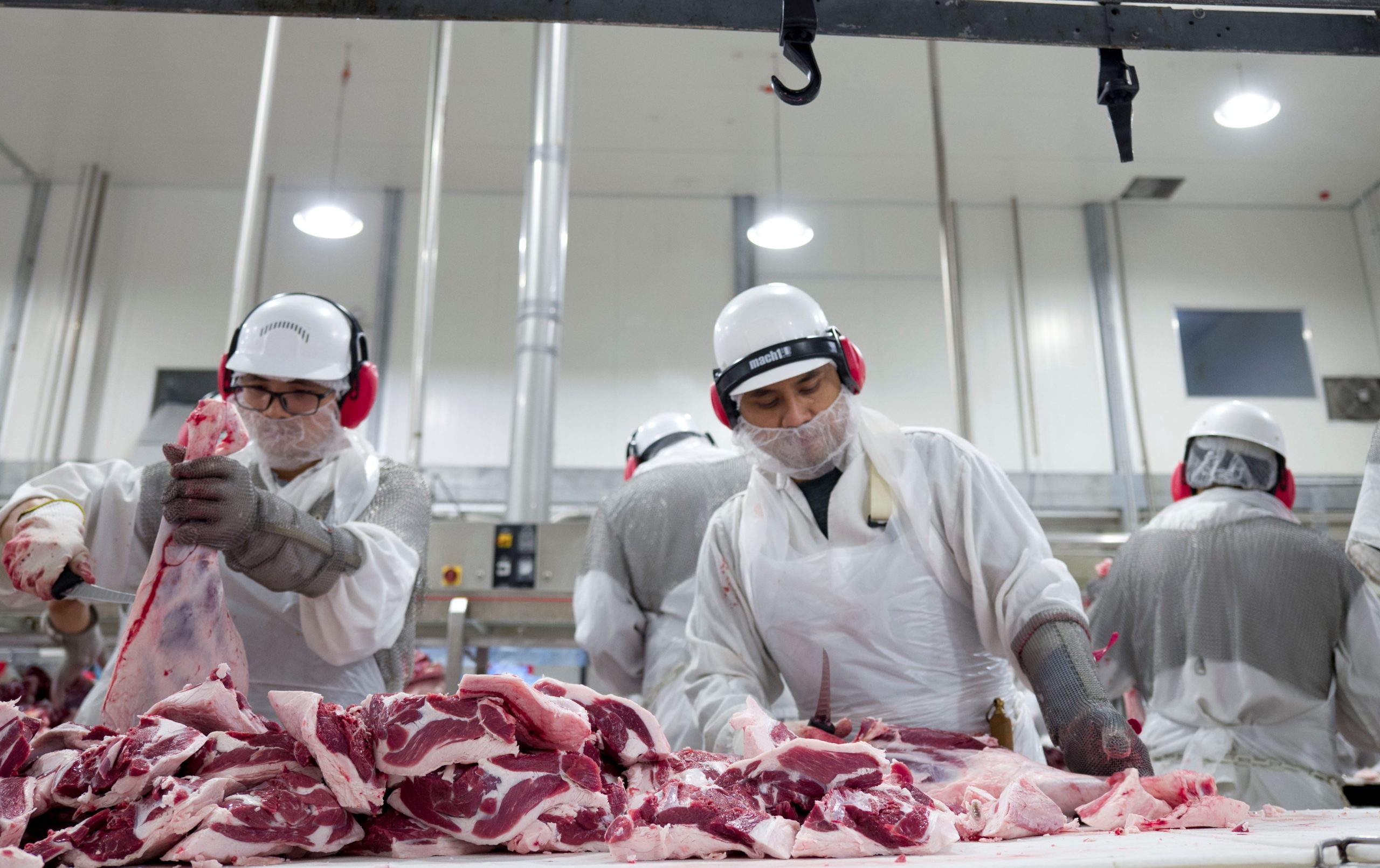 Domestic Meat Shortages Loom As Processors Face COVID Induced Labour 