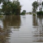 Major beef processing capacity impacted by QLD and NSW floods