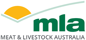 MLA