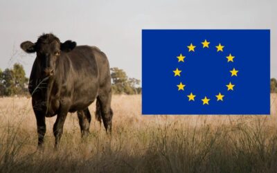 EU FTA a Kick in the Guts to the Meat Industry